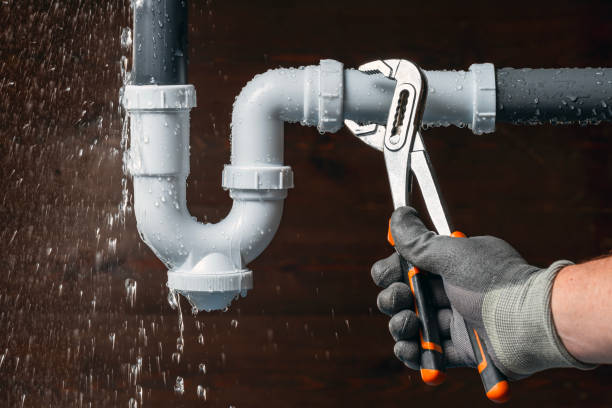 Professional Emergency Plumber technician working in Villas, FL